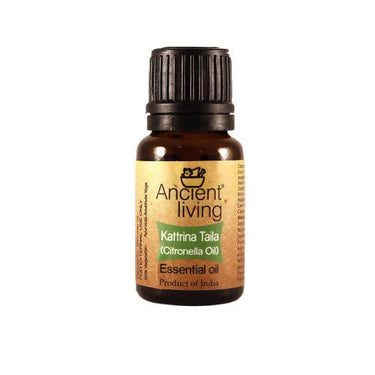 https://cdn.shopify.com/s/files/1/1857/6931/files/6AZ8fqQMFN-457716.jpg?v=1736147456